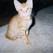 Joe Ballano's photo
