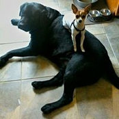 Jenny Ellis's photo