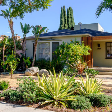Front Yard Grass Swap