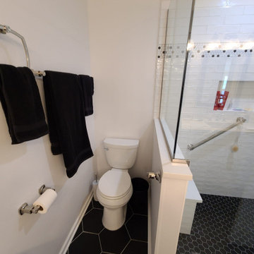 2021 Schaumburg, IL Master Bathroom Remodel