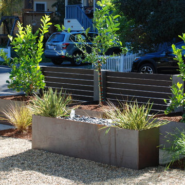 Contemporary Bungalow Front Yard