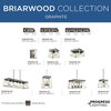 Briarwood Collection 4-Light Foyer, Graphite