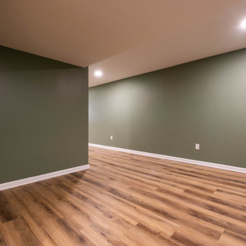 Rush Basement Remodel