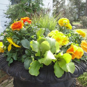 Container Gardens