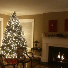 Christmas Trees