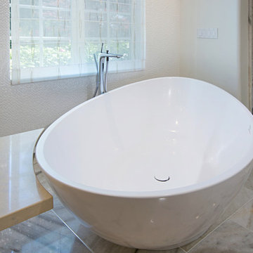 Master Bathroom Soaking Tub