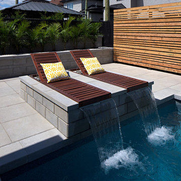 Contemporary Backyard