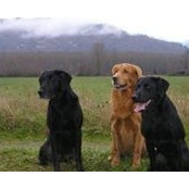Susan Shearer's photo