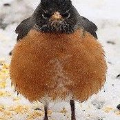 Lynn Houser's photo