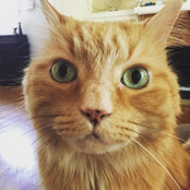Natalie G.'s photo