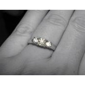 Amanda Canale's photo