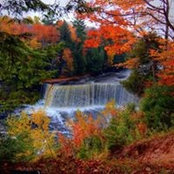 Michelle McNellis's photo
