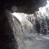 Grayden Schaefer's photo