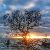 Dan Wojoski's photo