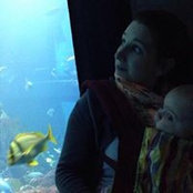 Ciara O'Sullivan's photo