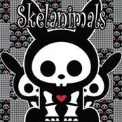 Amy White's photo