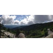 Cathy Kane's photo