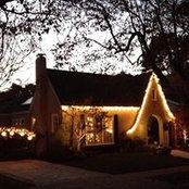 Dianne Wall's photo