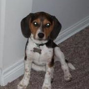 Scott Dawson's photo