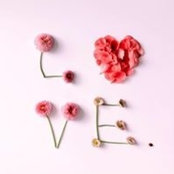 Cosandra Reed's photo