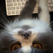 Alexander Ayon's photo