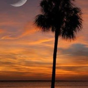 Gregg Fesler's photo