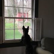 Brigitte Paulick's photo
