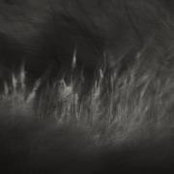 Ian Wickstead's photo