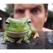 Michael O'Connor's photo