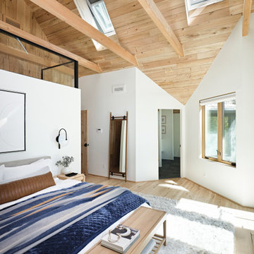 VELUX Solar Powered "Fresh Air" Skylight