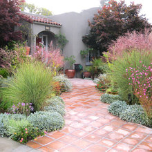 Carpinelli Frontyard