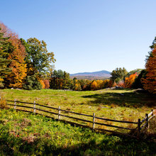 Forest Brook