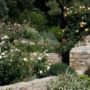 Tuscan Garden