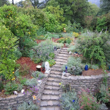 Water harvesting xer