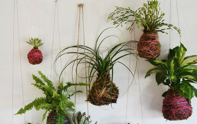 DIY : Créez votre jardin suspendu avec les « kokedama »