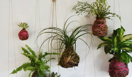 DIY: Lassen Sie Ihre Pflanzen schweben! So macht man Kokedamas