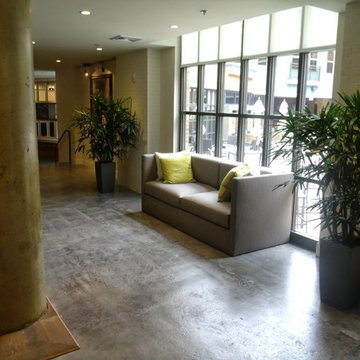 Scofield® Formula One Liquid Dye (polished concrete)