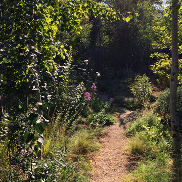 Humble Pathway To The Meadow Beyond..Drama and Enticement