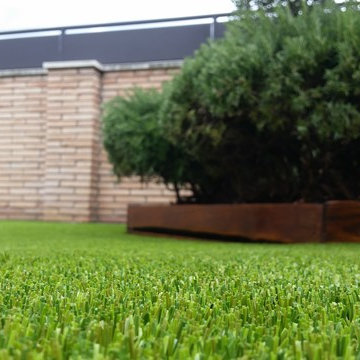 Calidad Royal Grass