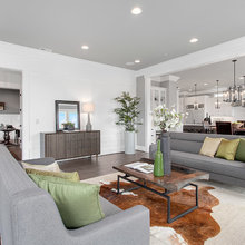 Living room rugs