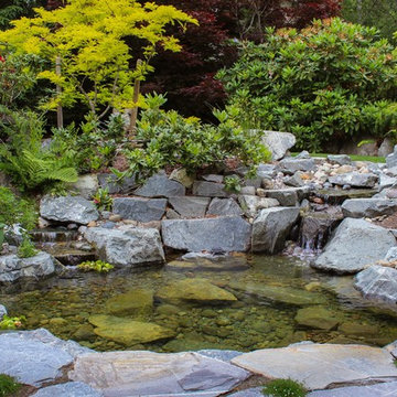 Side-yard Stream and Pond