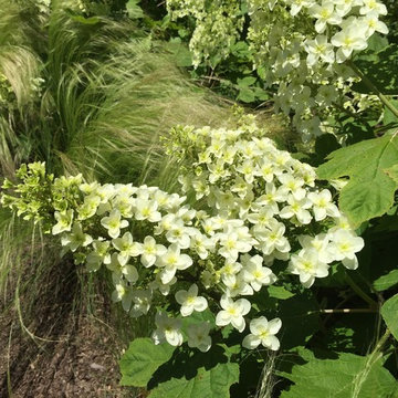 Waterfront Garden, Greenwich CT