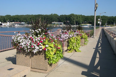 Commercial Container Plantings