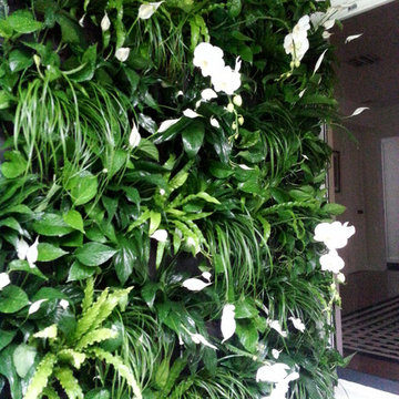 Living Walls | Easy+Plant+Walls | Greenwalls