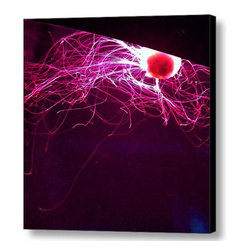 Jellyfish Wall Art - Photographs