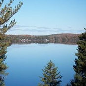 Darryl Crosby's photo