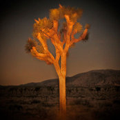 Olivier Pojzman's photo