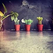 Kat Pansy's photo