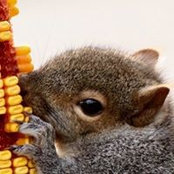 Eric Weber's photo