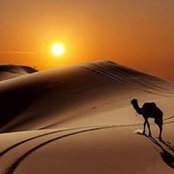 Jean Michel's photo